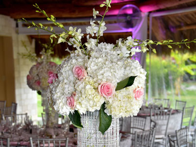 glamour-flower